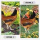 thumbnail image 3 of DEEPCRAFF 2Ud Ornamentación De Jardín Con Estacas De Gallina Acrílica Y Detalles Coloridos, 3 of 8