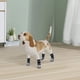 thumbnail image 3 of Calcetines antideslizantes para perros, 4 pares, calcetines de agarre para perros con correas, control de tracción para uso en interiores sobre pisos de madera dura, protector de patas para, 3 of 5
