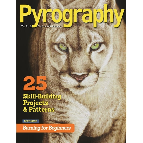 Pyrography Special Edition: 25 Skill-Building Projects & Patterns Featuring Burning for Beginners, (Paperback)