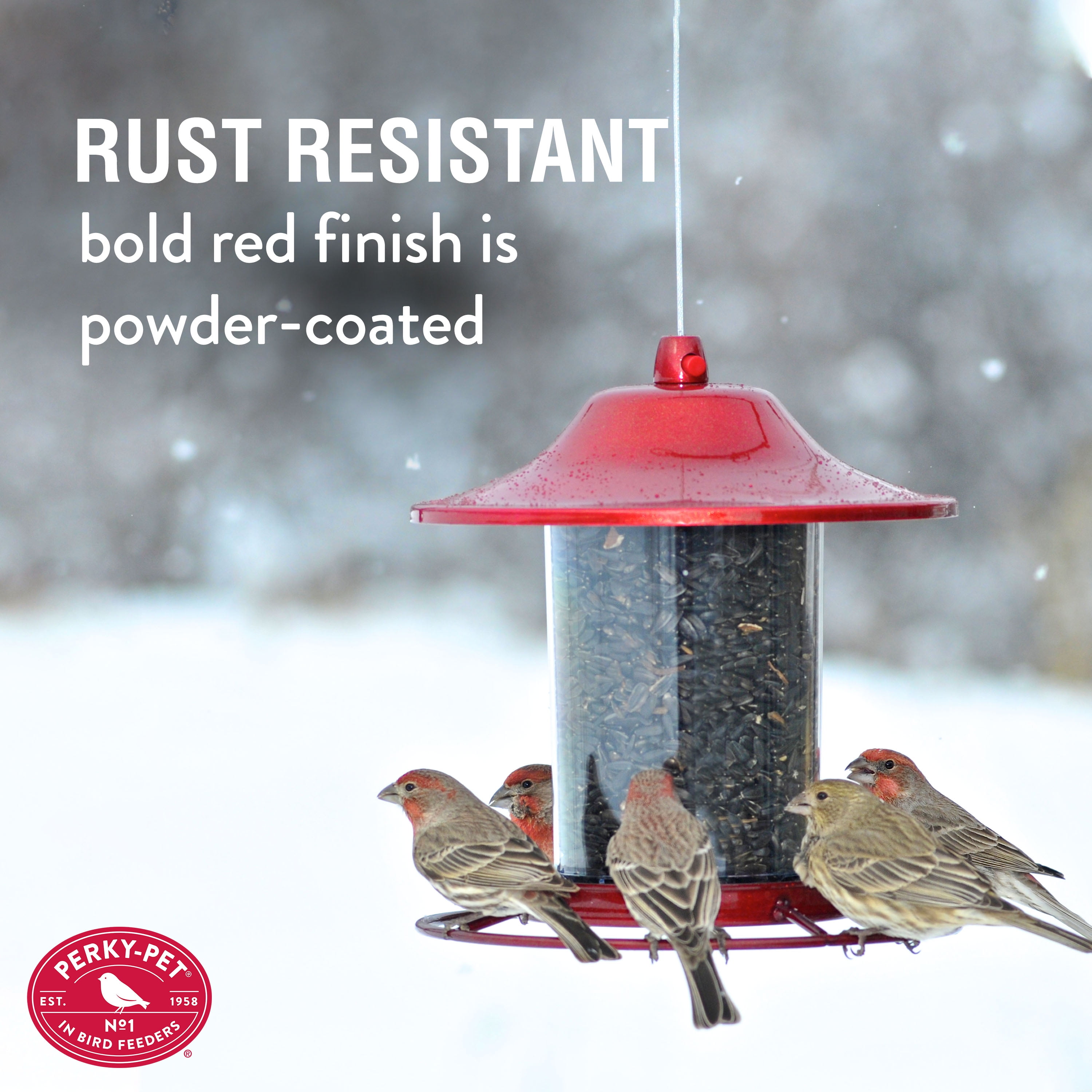 Perky-Pet Red Panorama Wild Bird Seed Feeder - 2 lb Capacity