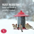 PerkyPet Large Outdoor Red Panorama Wild Bird Seed Feeder 2 lb