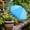 Blue, variant on Umbrellas for Outdoor Plants, Garden Umbrella Shade for Potted and Garden Beds, Provide Shade to âDefend From Blazing Sun, Green, Patio Decoration