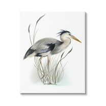 Stupell Industries Detailed Heron Bird Leering Wetland Grass Marsh Graphic Art Gallery Wrapped Canvas Print Wall Art, Design by Studio Q