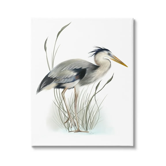 Stupell Industries Detailed Heron Bird Leering Wetland Grass Marsh Graphic Art Gallery Wrapped Canvas Print Wall Art, Design by Studio Q