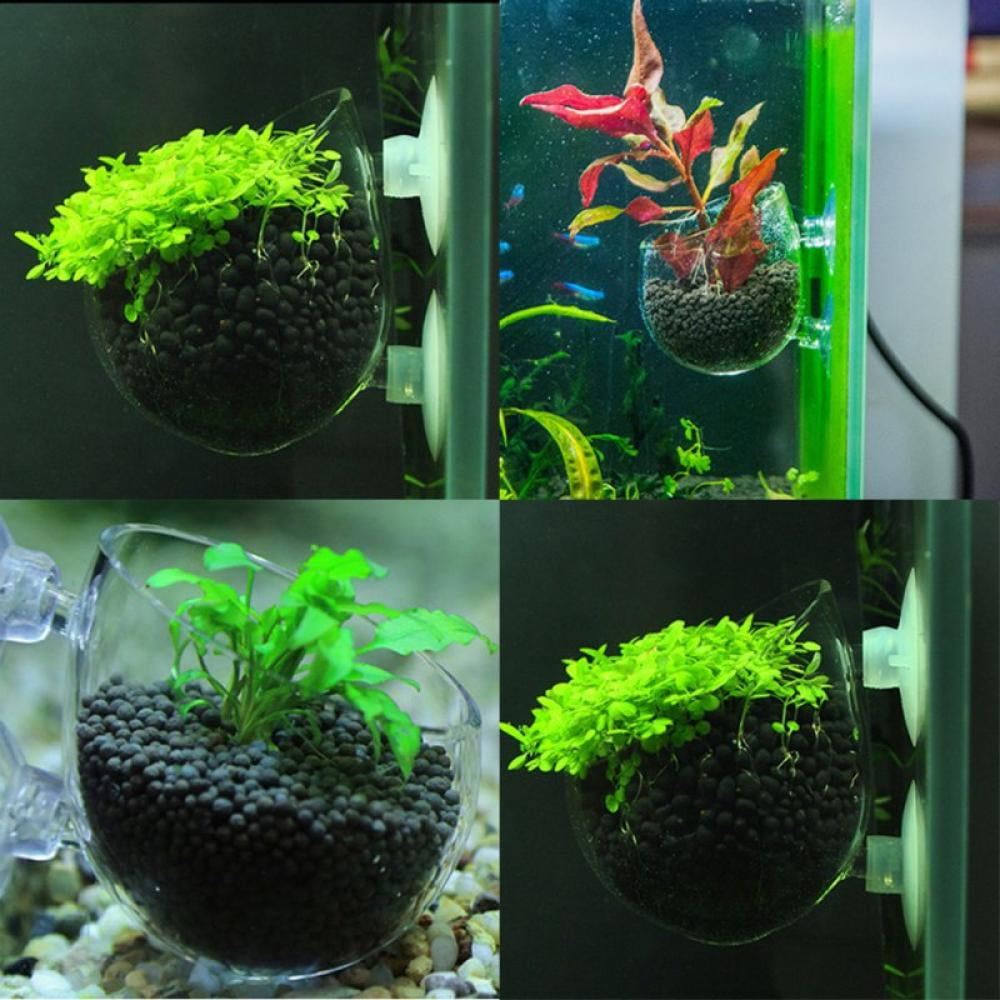 Details about   Cultivation Cup Aquatic Plant Cup Pot with Suction Cups for Fish Tank AquariumCA 