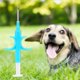 thumbnail image 1 of Microchip Para Animales Transpondedor De Vidrio Con Microchip Para Animales Con Jeringa Para Mascotas Perro Gato 2.12x12 Mm / 0.08x0.47in, 1 of 8