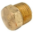 thumbnail image 3 of Anderson Metals 756121-04 Pipe Plug, 1/4 in, MPT, Brass, 3 of 3