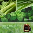 thumbnail image 2 of Set de velas de citronela FF FRAGRFLOWING, cera de soja perfumada, 800 ml, 2 of 6