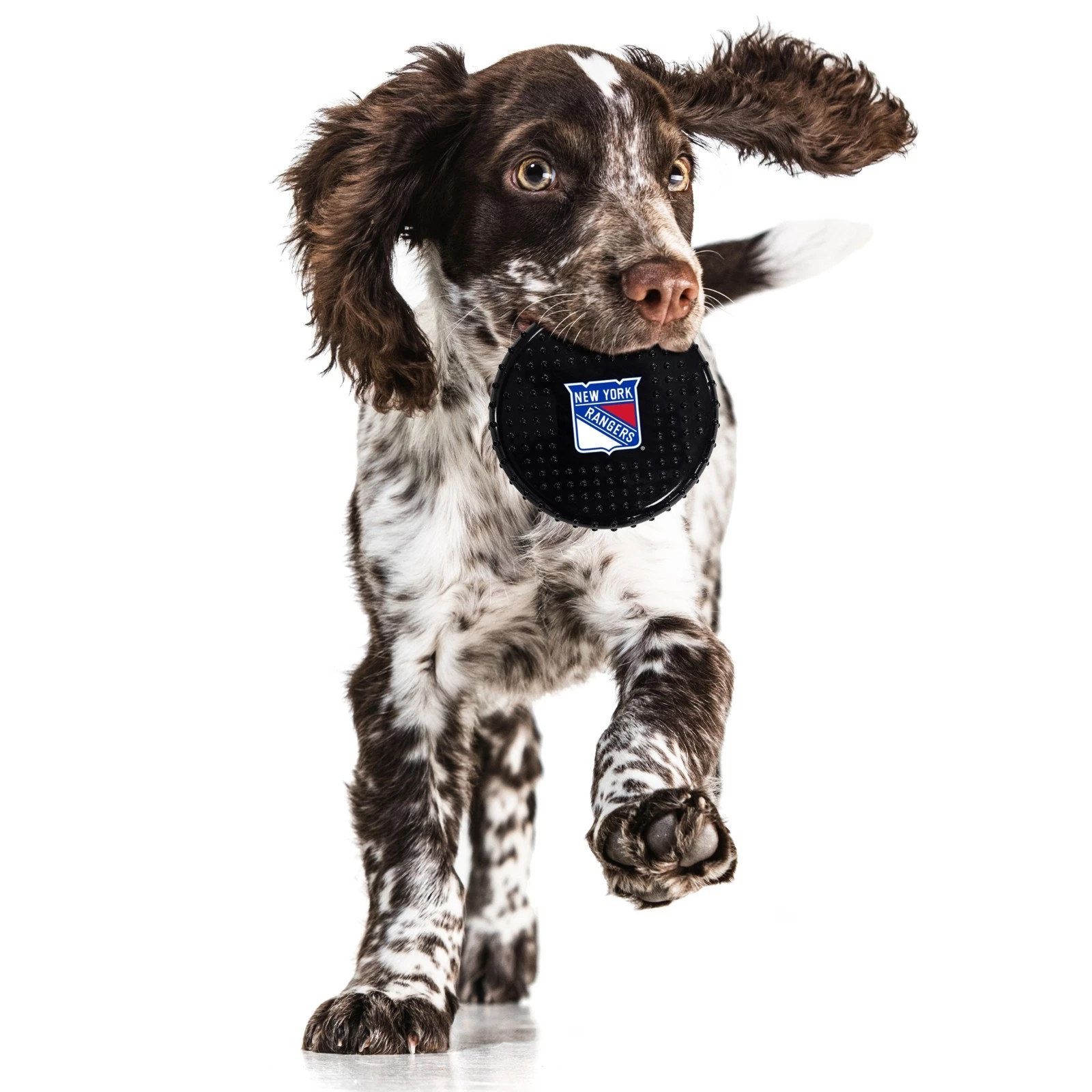 Pets First NHL Hard-Nylon Pet Toy Flavored Dog Chew Toys for Aggressive Chewers