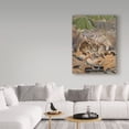 thumbnail image 3 of Trademark Fine Art 'Bunnies' Canvas Art by Rusty Frentner, 3 of 3