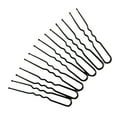 50pcs Bobby Hair U Shaped Hair Black Metal Hair Clips for Buns, Updo