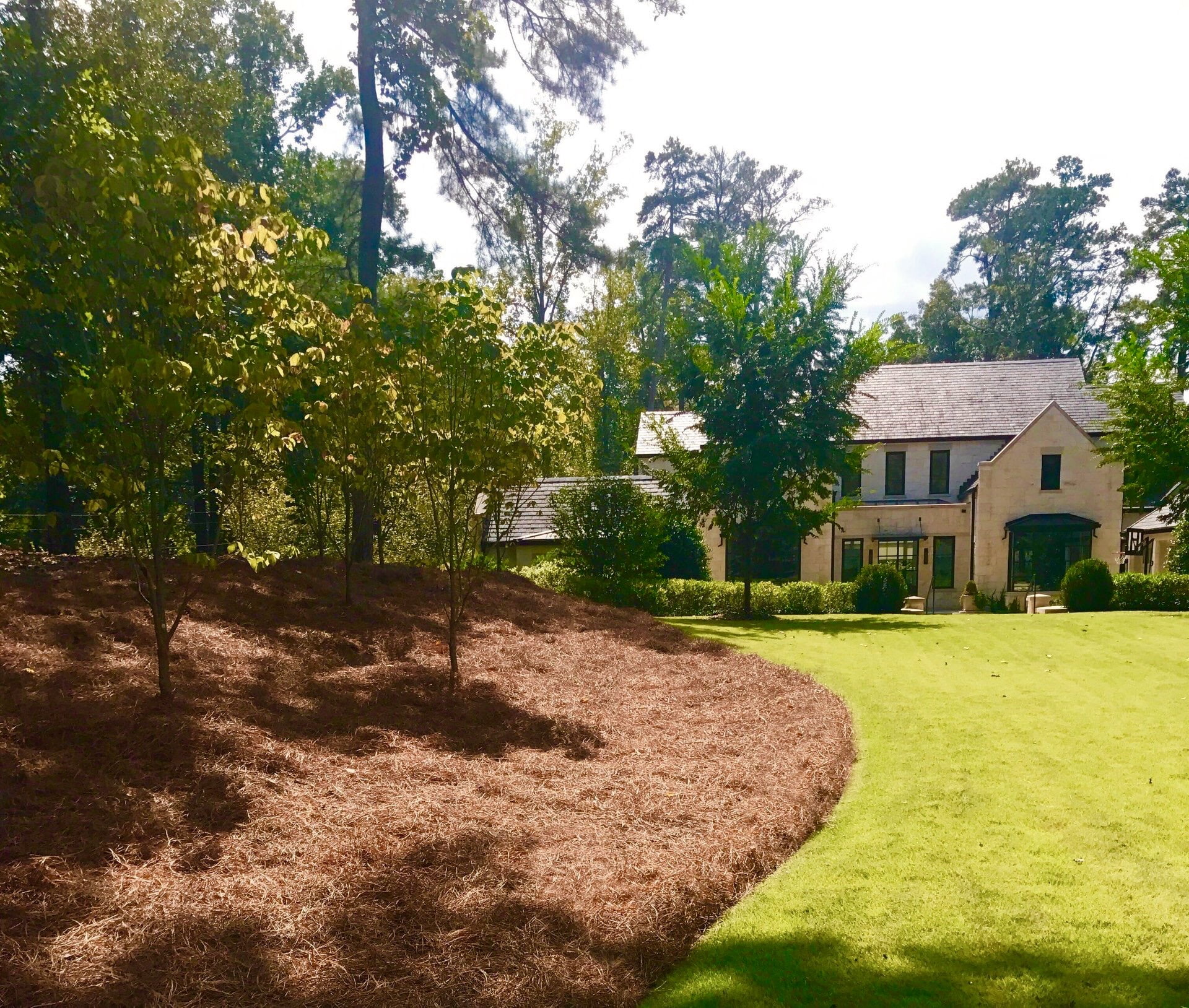 acdanc  Premium Long Needle | Pine Straw Mulch | Covers up to 2200 Sqft