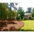 thumbnail image 6 of acdanc  Premium Long Needle | Pine Straw Mulch | Covers up to 2200 Sqft, 6 of 6