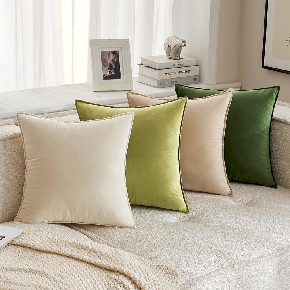 Cterwk 2 Pack Soft Velvet Square Throw Pillow Covers Square Cushion Case for Bed Couch Sofa Bench, 24 x 24 inch