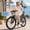 Blue, variant on ECLIO Electric Bike for Adults, 750W Brushless Motor 50 Mile Range 26" Low Step Commuter Ebike, Removable Hidden Battery - White