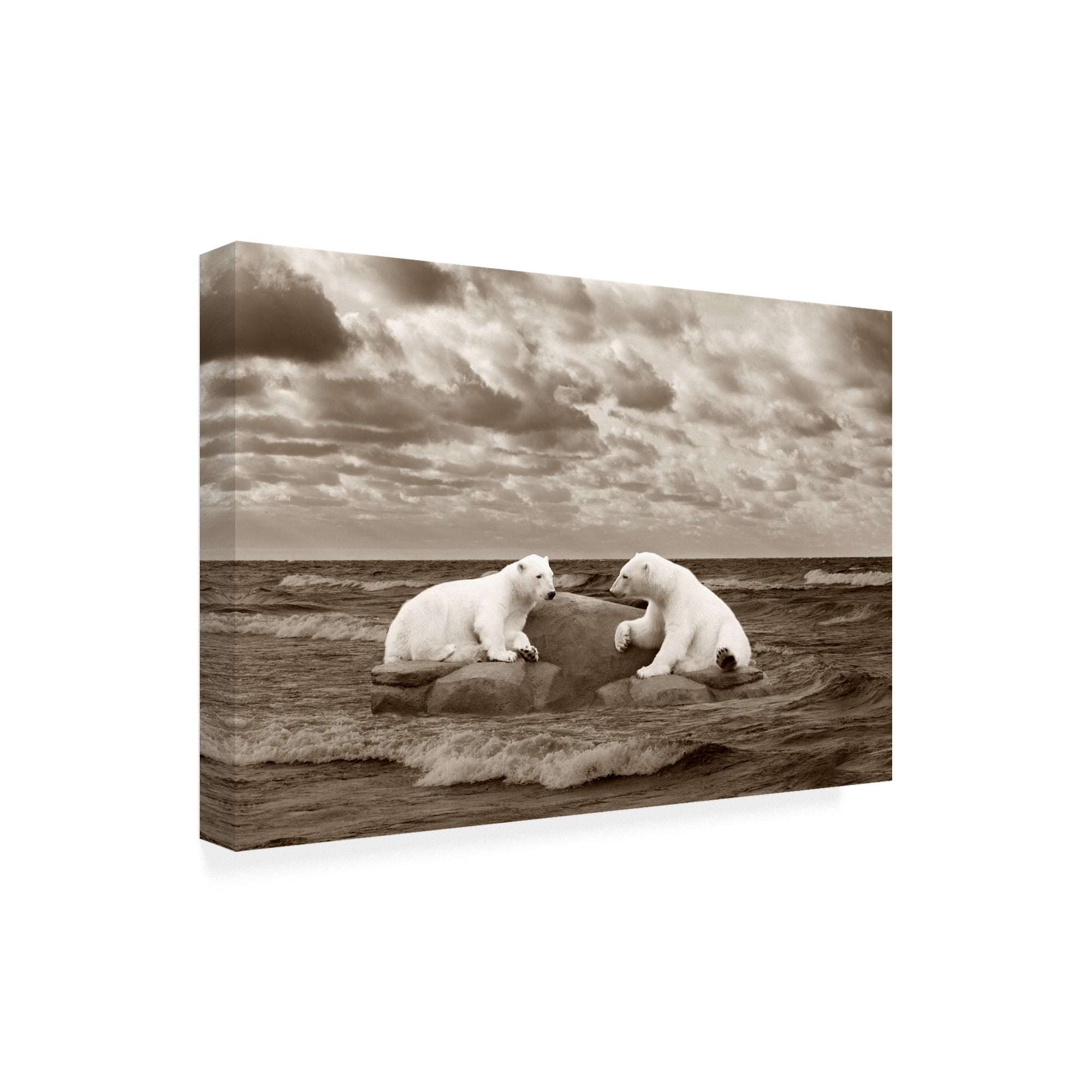 Trademark Fine Art 'Two Polar Bears Coast Line' Canvas Art by Monte Nagler