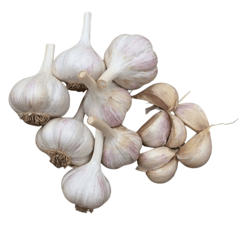 0.5 Lb Mixed Garlic Bulbs, Random Chesnok Red Garlic Music Garlic  Italian Garlic German Garlic Russian Garlic Cloves, Hardneck Garlic Tubers, Ready To Grow