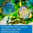 thumbnail image 4 of API Quick Start Water Conditioner, 4 of 5