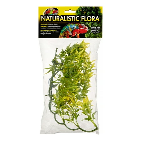 UPC: 0097612180152 | Zoo Med Bolivian Croton Plant