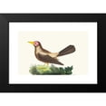 thumbnail image 2 of George Shaw 18x13 Black Modern Framed Museum Art Print Titled - Soon Grakle (1789-1813), 2 of 5