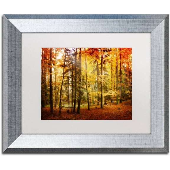 Trademark Fine Art "Fall Color" Canvas Art by Philippe Sainte-Laudy White Matte, Silver Frame