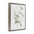thumbnail image 4 of Stupell Industries Soft Blooming Bud Botanical & Floral Painting Brown Floater Framed Art Print Wall Art, 25 x 31, 4 of 10