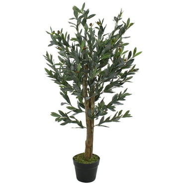 Northlight 40" Green and Brown Artificial Olive Tree with Foliage In a Black Pot