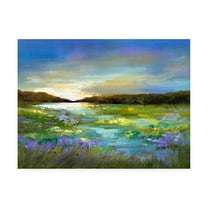 Trademark Fine Art 'Radiant Evening' Canvas Art by Sheila Finch