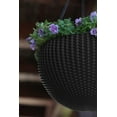 Keter Resin Rattan Set of 2 Round Hanging Planter Baskets for Indoor