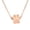 Rose color, variant on Ashes Necklace Pet Memorial Gift Personalizeds Dog/Cats Cremation Jewelry Keepsakes Paws Urns Pendants Urns Necklaces