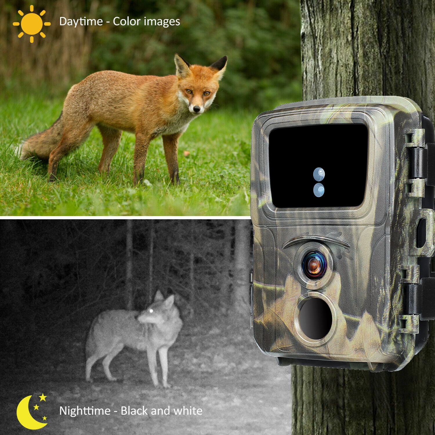 Suntekcam 20MP Mini Trail Camera 4-Pack with 32GB SD Card, 1080P High Resolution