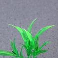 thumbnail image 5 of Hytrove 10Ud Para Acuario Artificiales Decorativas Aspecto Y Fácil Limpieza, 5 of 5