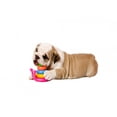 thumbnail image 2 of Puppy Wall Decal by Wallmonkeys Peel and Stick Graphic (36 in W x 20 in H) WM72165, 2 of 4