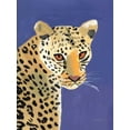 thumbnail image 2 of Munger, Pamela 19x24 Black Ornate Wood Framed with Double Matting Museum Art Print Titled - Colorful Cheetah, 2 of 4