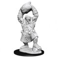 thumbnail image 1 of WizKids WZK90041 Pathfinder Ogre Battles Deep Cuts Wave 11 Miniature, 1 of 3