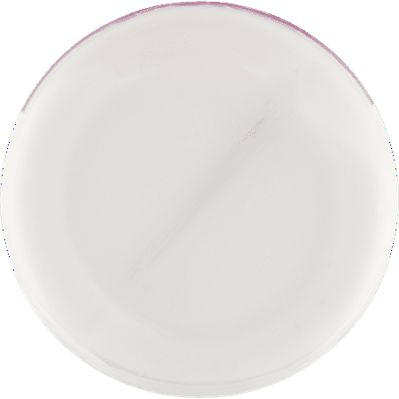 Hartz Milk Replacer for Kittens Powdered Formula