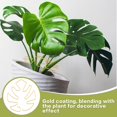 thumbnail image 4 of Anillo Apoyo STEM 6pcs Monstera Support para El Crecimiento Próspero (oro), 4 of 9