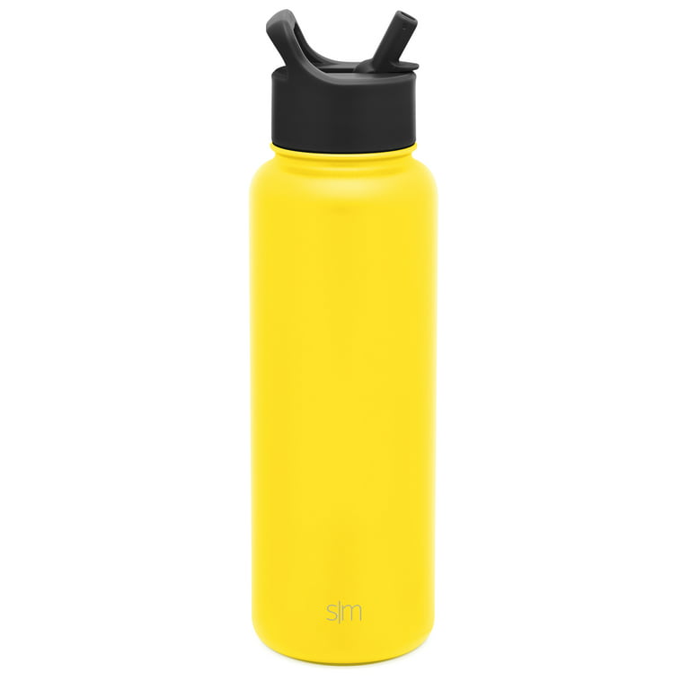 Simple Modern 18 fl oz Insulated Stainless Steel Summit Water Bottle with Silicone Straw Lid|Moonlight