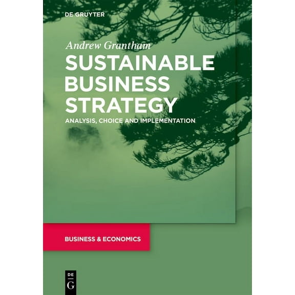 Sustainable Business Strategy: Analysis, Choice and Implementation, (Paperback)