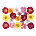 thumbnail image 3 of Flores secas prensadas, flores secas reales, flores secas mixtas decorativas para hacer joyas, manualidades de resina epoxi, arte de uñas, 3 of 9