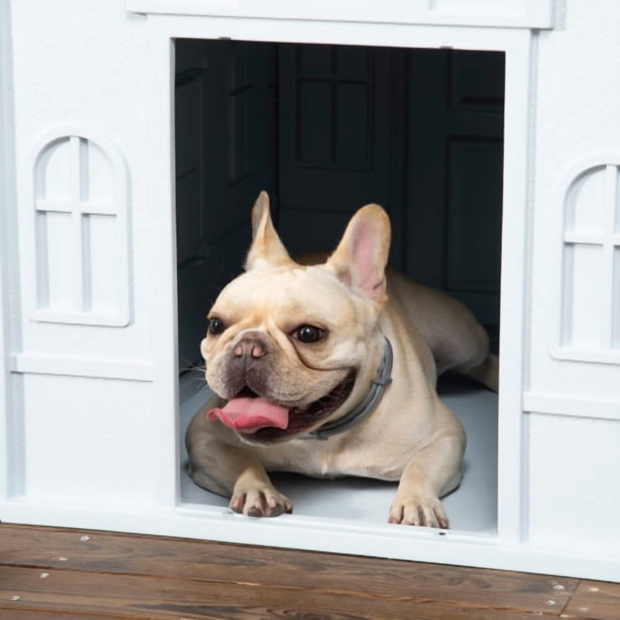 Zateety Waterproof Dog House, Outdoor Puppy Plastic Shelter with Door, Easy Assembly Pet House for Small Medium Dogs up to 44 lbs – Blue