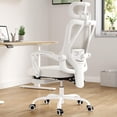 thumbnail image 6 of BISHE Ergonomic Office Chair with Footrest & Adjustable Headrest, Reclining Computer Chair with Customizable Lumbar Support, Breathable Mesh Back & Seat, 360° Swivel Wheels, Beige, 6 of 8