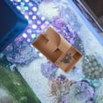 thumbnail image 4 of KALLORY Plataforma Para Reptiles Chocolate Para Decorar Acuario De Y Salada, 4 of 6