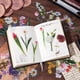 thumbnail image 3 of 240 pegatinas florales autoadhesivas de flores naturales para mascotas, pegatinas botánicas para diario, decorativas, estéticas y naturales., 3 of 4