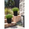 thumbnail image 6 of Veradek Mason Series Kona 10" Plastic-Stone Planter 2-Pack Black, 6 of 9
