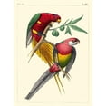 thumbnail image 2 of Lemaire, C.L. 19x24 Gold Ornate Wood Framed with Double Matting Museum Art Print Titled - Small Lemaire Parrots III, 2 of 4