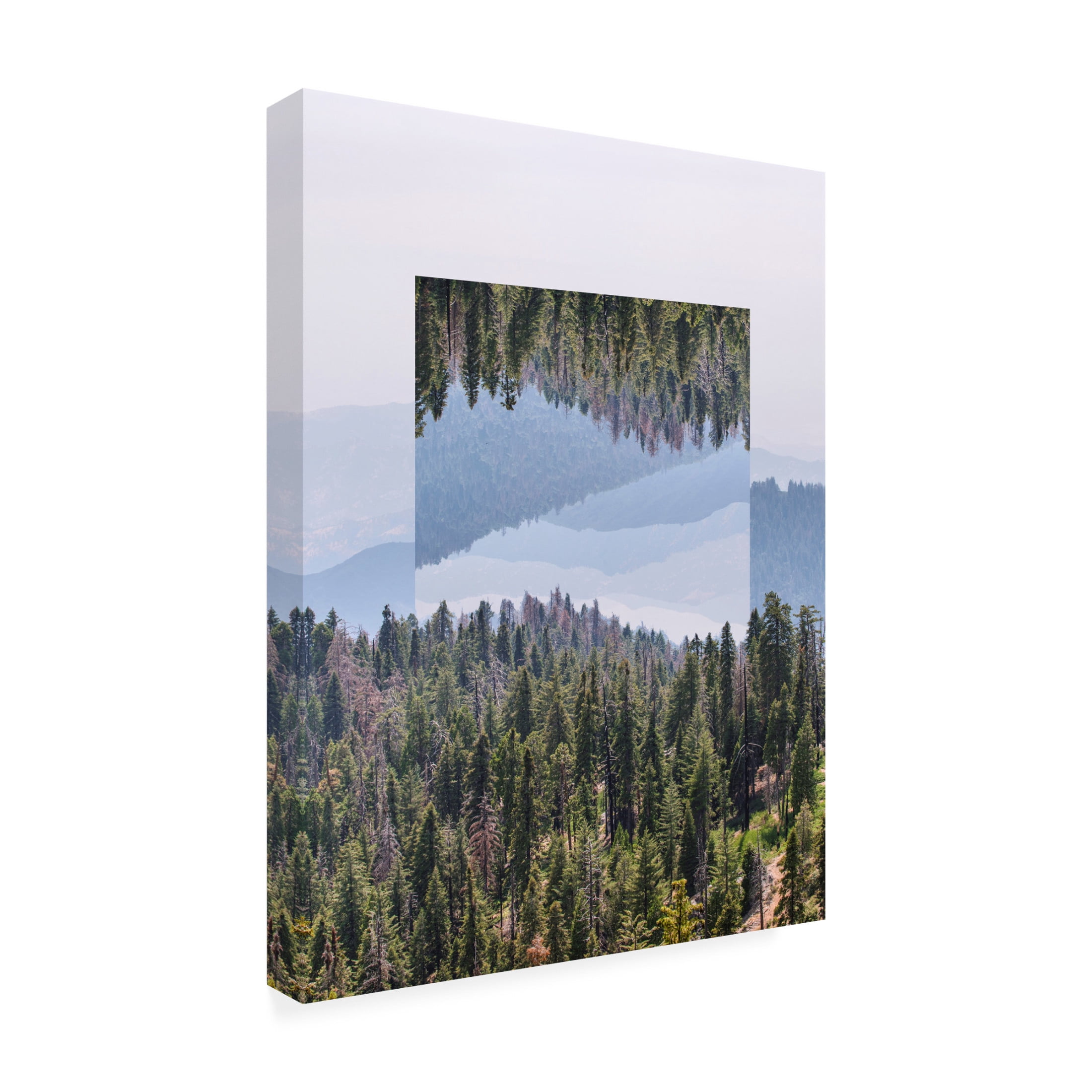 Trademark Fine Art Vision Studio Western Treetops V Canvas Wall Art