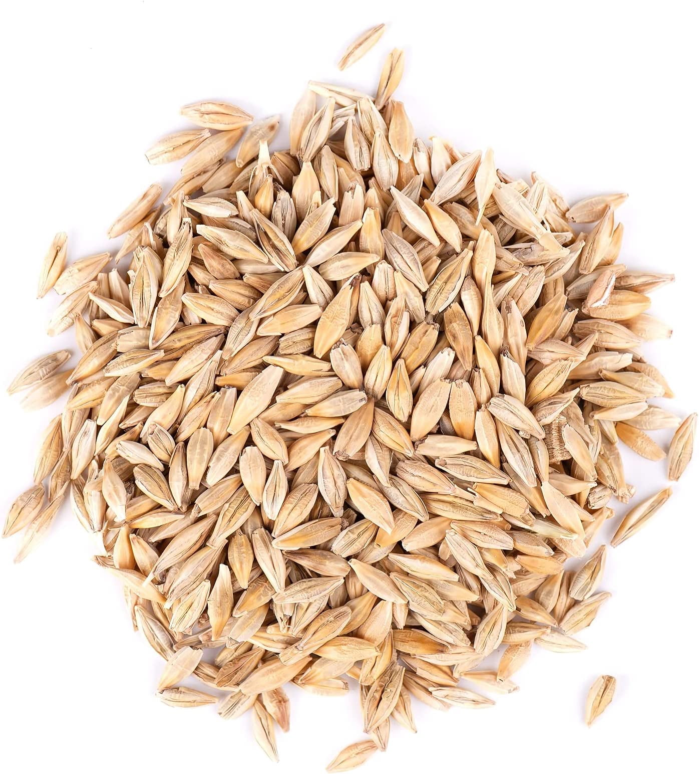 Barely Seeds for Planting (25 Pounds)