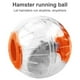 thumbnail image 4 of Greeniant Pelota de ejercicio TureClos, juguetes de animales, juguetes rodantes, accesorios para correr de plástico perforado Juguetes de animales pequeños naranja, 4 of 6