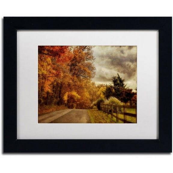 Trademark Fine Art "And the Seasons They Go Round and Round" Canvas Art by Lois Bryan, White Mat, Black Frame